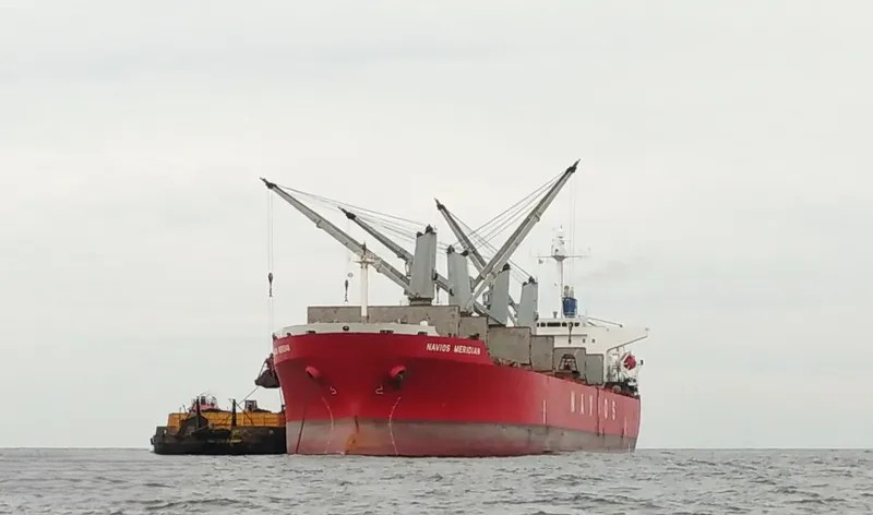 mv pacific bulk